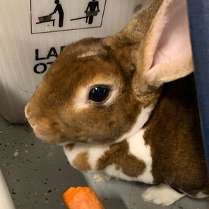 Meet your Posher, Evan